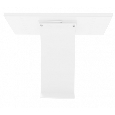 Интерактивный киоск DigiTouch DS-55WT