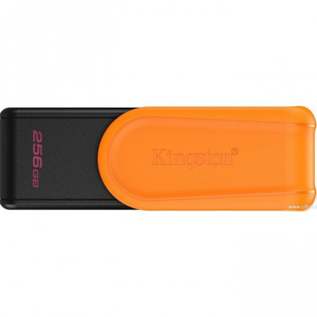 256 ГБ USB Флеш-накопитель Kingston DataTraveler Exodia (DTXS/256GB) черный