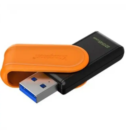 256 ГБ USB Флеш-накопитель Kingston DataTraveler Exodia S (DTXS/256GB) черный