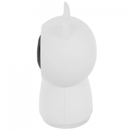 Камера Aqara Camera Hub G5 Pro (CH-C03D G) серый