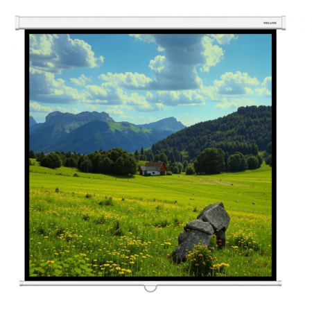 108" Экран настенный/потолочный XG DLS-M240x135W белый