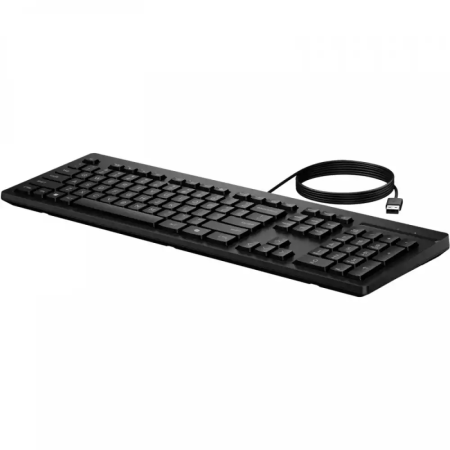 Клавиатура проводная HP 125 G2 (AY2Y7AA) черный