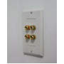 Информационная розетка CVGaudio WSP02 белый