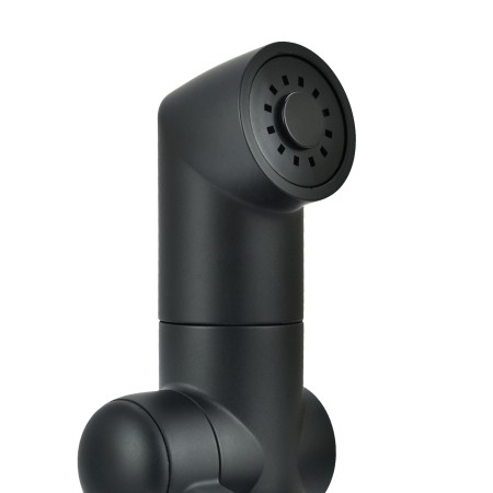 Гигиеническая лейка Lemark LM8075BL (229741) черный