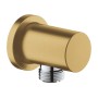 Подключение душевого шланга GROHE Rainshower (27057GN0) холодный рассвет матовый