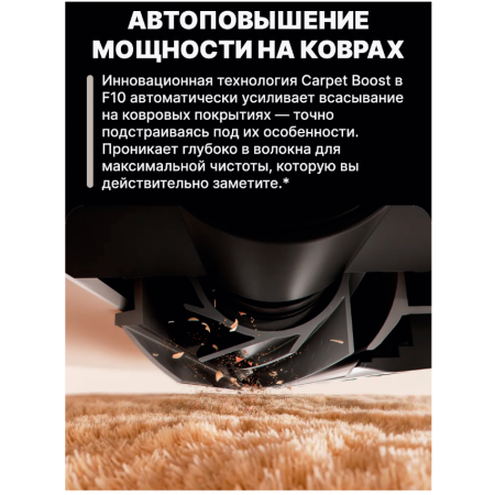 Робот-пылеcос Dreame Robot Vacuum F10 (RLF11SA black) черный
