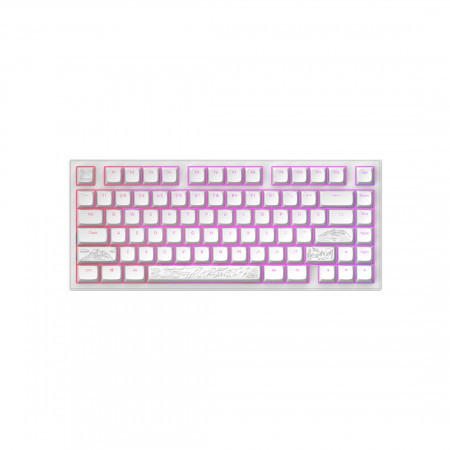 Клавиатура проводная Dark Project ALU81A Terra Nostra White (DPKB_NOSTRA_81_ANSI_WHITE_UA) белый