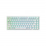 Клавиатура беспроводная + проводная Dark Project ALU81A Terra Nova White (DPKB_NOVA_81_ANSI_WHITE_UA) белый