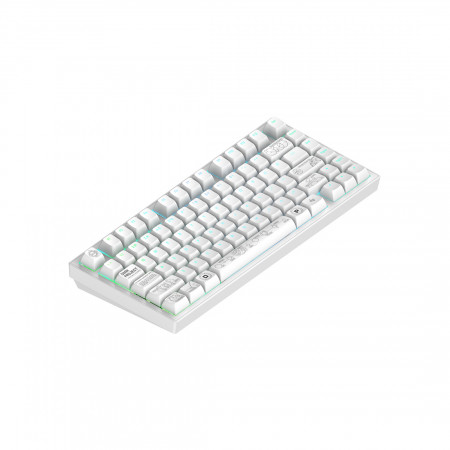 Клавиатура беспроводная + проводная Dark Project ALU81A Terra Nova White (DPKB_NOVA_81_ANSI_WHITE_UA) белый