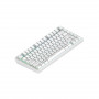 Клавиатура беспроводная + проводная Dark Project ALU81A Terra Nova White (DPKB_NOVA_81_ANSI_WHITE_UA) белый