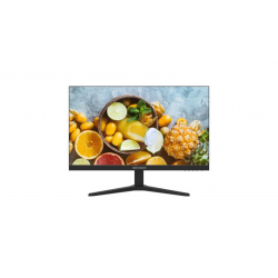 23.8" Монитор HikVision DS-D5024F2-2V2 черный