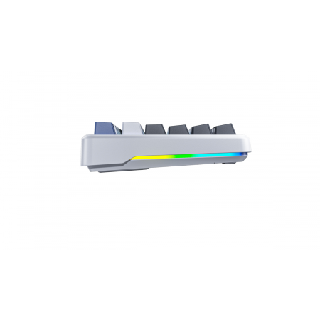 Клавиатура беспроводная + проводная Aula F87 (F87 G/W3 WGB) белый/серый/голубой