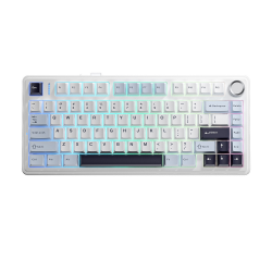 Клавиатура беспроводная + проводная Aula F75 (F75 I/V BWP) голубой/белый/фиолетовый