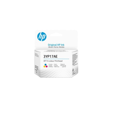 Печатающая головка HP 3YP17AE многоцветный
