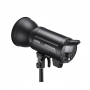 Импульсный свет Godox DP400IIIV чёрный