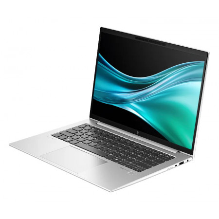 14" Ноутбук HP EliteBook 845 G11 (A36XGET) серебристый