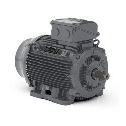 Электродвигатель WEG 17886536 серый