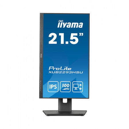 21.5" Монитор iiyama ProLite PL2293HS (XUB2293HSU-B6) черный