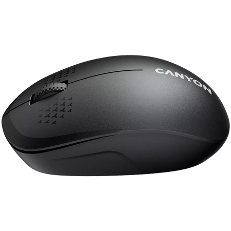 Мышь беспроводная Canyon MW-04 (CNS-CMSW04B) черный