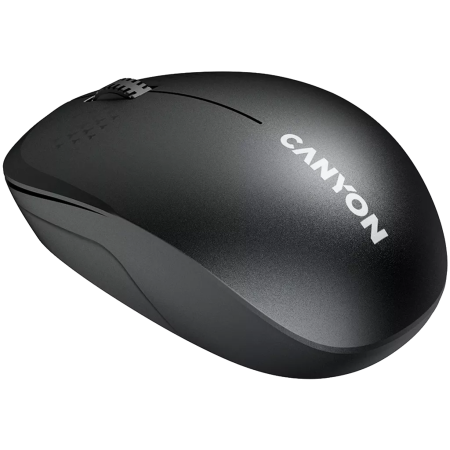 Мышь беспроводная Canyon MW-04 (CNS-CMSW04B) черный
