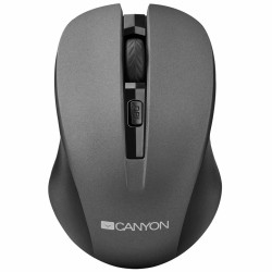 Мышь беспроводная Canyon MW-1 (CNE-CMSW1G) серый