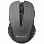 Мышь беспроводная Canyon CNE-CMSW1G серый