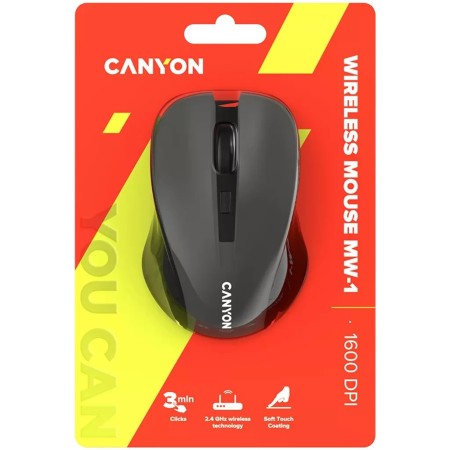 Мышь беспроводная Canyon CNE-CMSW1G серый