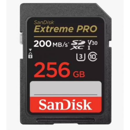 256 ГБ Карта памяти SanDisk Extreme PRO SDXC (SDSDXXD-256G-GN4IN) черный