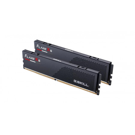 Оперативная память G.Skill Flare X5 (F5-5200J4040A48GX2-FX5) 96 Гб черный