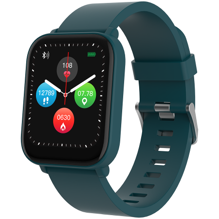 Смарт-часы CANYON Easy SW-54 (CNS-SW54BG) зеленый (1 ремешок) 42 мм