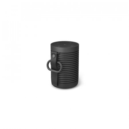 Колонки Bang & Olufsen Beosound Explore 1626000 черный антрацит
