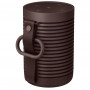 Колонки Bang & Olufsen Beosound Explore 1626005 каштановый