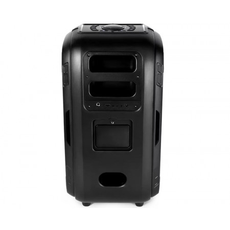 Колонки Ttec Carnival 100W 2BH12S чёрный