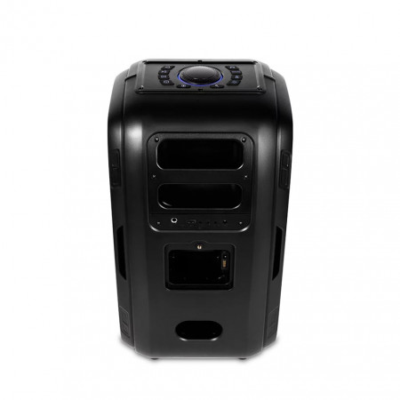 Колонки Ttec Carnival Pro 120W 2BH11S чёрный