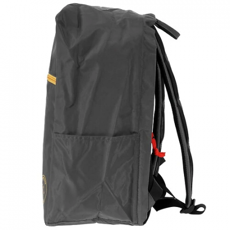 15.6" Рюкзак Canyon CSZ-02 (CNS-CSZ02GY01) серый