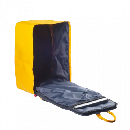 15.6 Рюкзак CANYON CSZ-02 (CNS-CSZ02YW01) желтый