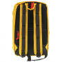 15.6" Рюкзак Canyon CSZ-03 (CNS-CSZ03YW01) желтый