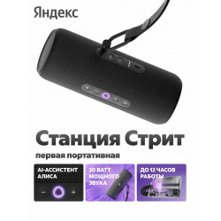 Колонки  Yandex Станция Стрит YNDX-00030BLK чёрный