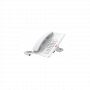 IP телефон Fanvil H3W белый