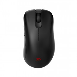 Мышь беспроводная ZOWIE EC2-DW (9H.N4VBE.A2E) черный