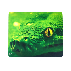 Коврик VITI V-T Snake зеленый