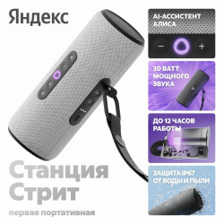 Колонки  Yandex Станция Стрит YNDX-00030GRY Серый