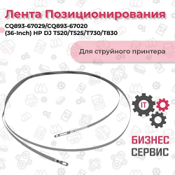 Линейка для сканера HP CQ893-67029 серый
