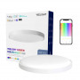 Светильник потолочный Yeelight Arwen Ceiling Light 550 (YLXD013-A) белый