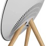 Колонки Bang & Olufsen Beosound A9 5th Gen (1200634) серый