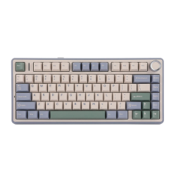 Клавиатура беспроводная + проводная Aula F75 (F75 G/W3 PBG) фиолетовый/белый/зеленый