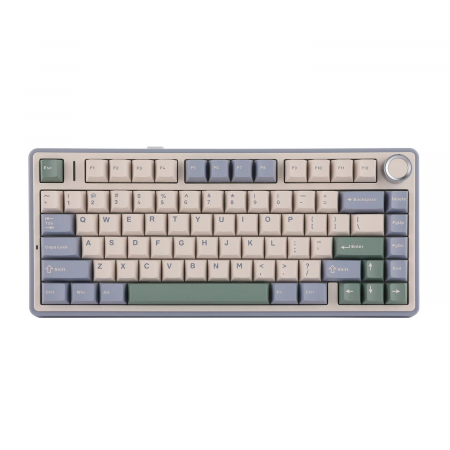 Клавиатура беспроводная + проводная Aula F75 (F75 G/W3 PBG) фиолетовый/белый/зеленый