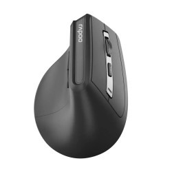 Мышь беспроводная Rapoo EV310M (EV310M (SKU 13049, EAN 6940056130495)) черный