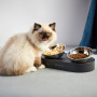 Миски для питомца PETKIT FRESH NANO DOUBLE 15° ADJUSTABLE PET BOWL (Petkit Fresh Nano Double) серебристый