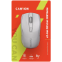 Мышь беспроводная CANYON MW-7 (CNE-CMSW07W) белый